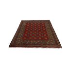 Keleti szőnyeg Aqcha Bukhara 150x196 kézi csomózású afgán szőnyeg