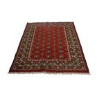 Keleti szőnyeg Aqcha Bukhara 123x178 kézi csomózású szőnyeg