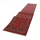 Futószőnyeg bordó Bukhara 80x647 Pakisztáni kézi csomózású szőnyeg