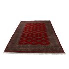 Pakisztáni szőnyeg piros Jaldar 156x248 kézi csomózású szőnyeg