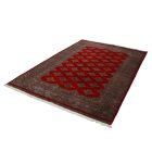 Pakisztáni szőnyeg piros Jaldar 156x248 kézi csomózású szőnyeg