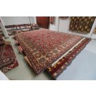 Nagyméretű szőnyeg Kazak 553x416 kézi csomózású keleti szőnyeg