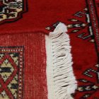 Futószőnyeg bordó Bukhara 64x191 Pakisztáni kézi csomózású szőnyeg