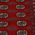 Pakisztáni szőnyeg bordó Bukhara 93x155 kézi csomózású szőnyeg