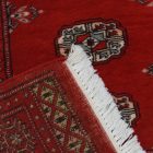 Pakisztáni szőnyeg bordó Bukhara 79x124 kézi csomózású szőnyeg